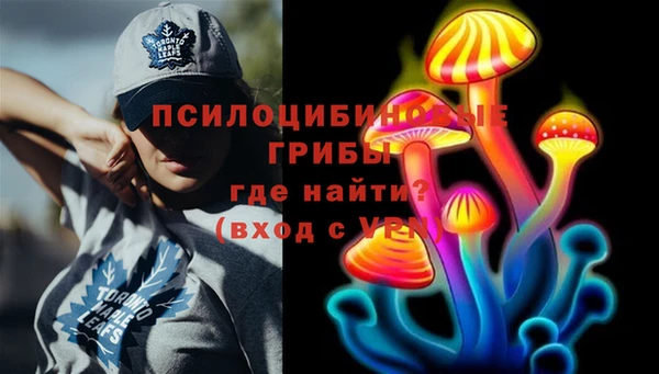 герыч Зеленодольск